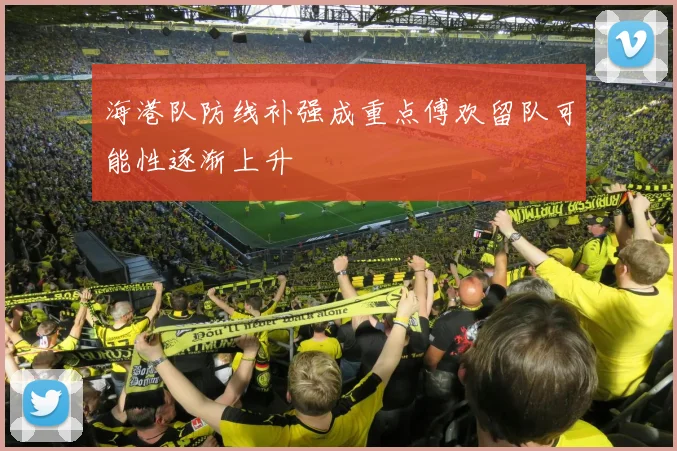 海港队防线补强成重点傅欢留队可能性逐渐上升