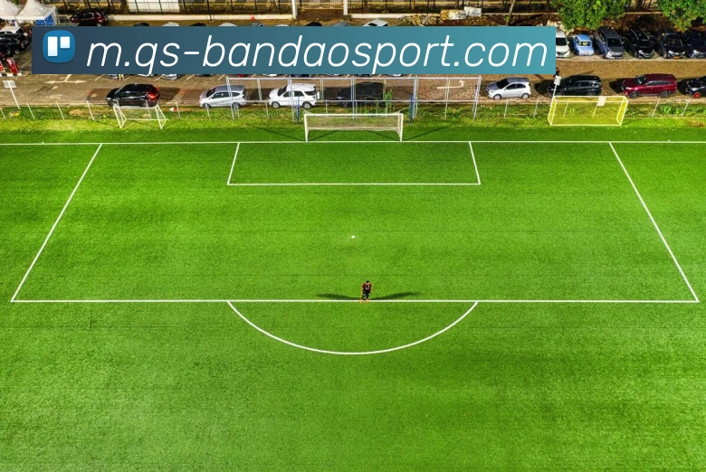 半岛足球体育服务体系